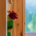 Rosablanche B72 By Interhome Апартаменты